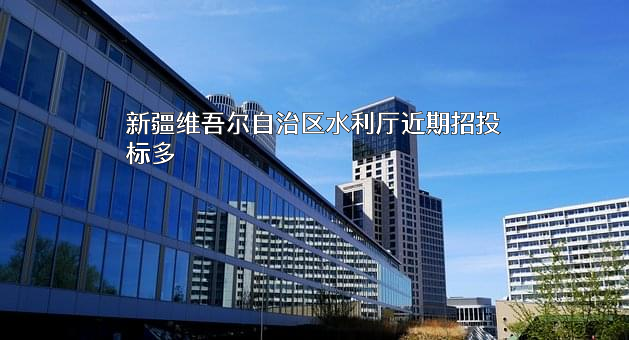 新疆维吾尔自治区水利厅
