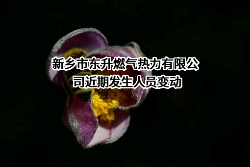 新乡市东升燃气热力有限公司近期发生人员变动