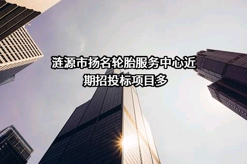 涟源市扬名轮胎服务中心近期招投标项目多