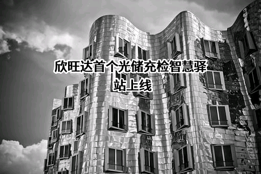 欣旺达电子股份有限公司