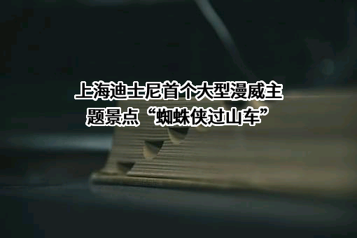 迪士尼商贸（上海）有限公司