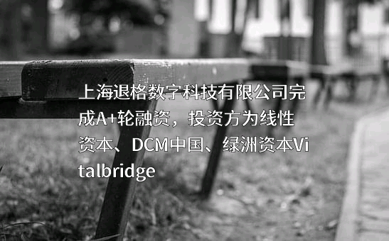 上海退格数字科技有限公司
