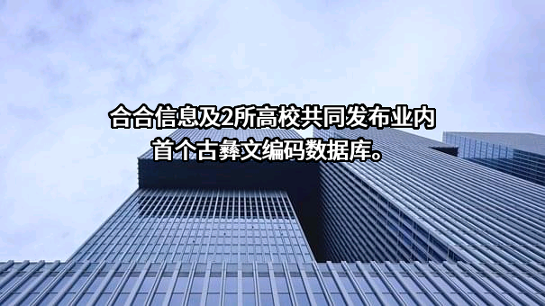 上海合合信息科技股份有限公司