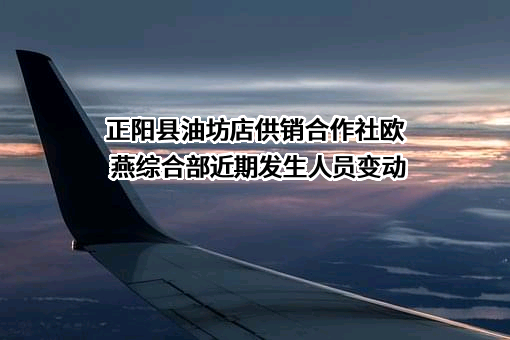 正阳县油坊店供销合作社欧燕综合部
