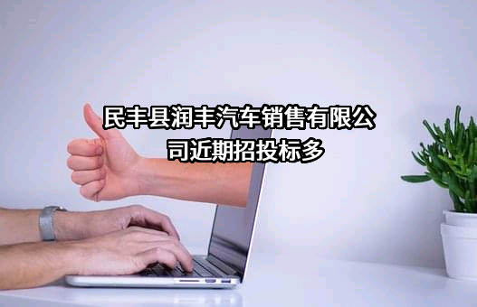 民丰县润丰汽车销售有限公司