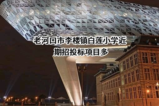 老河口市李楼镇白莲小学