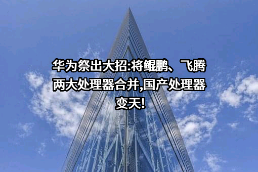 华为技术有限公司