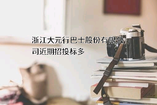 浙江大元行巴士股份有限公司