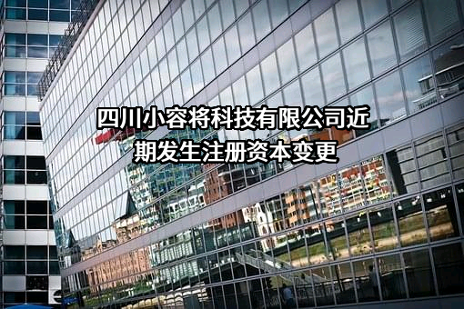 四川小容将科技有限公司