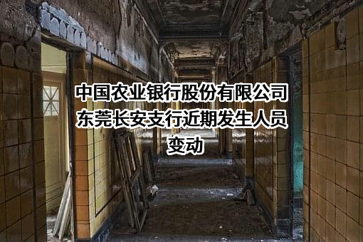 中国农业银行股份有限公司东莞长安支行