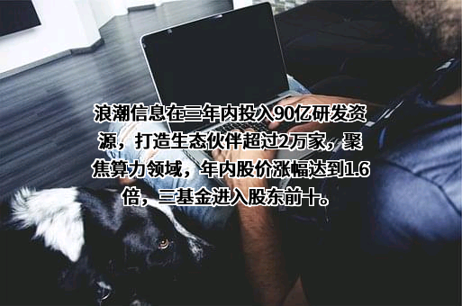 浪潮电子信息产业股份有限公司