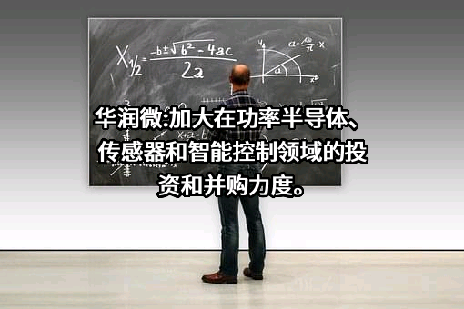 华润微电子控股有限公司