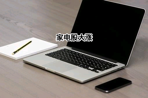 小米汽车有限公司