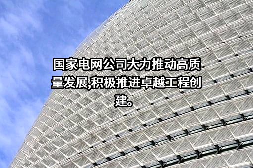 国家电网有限公司