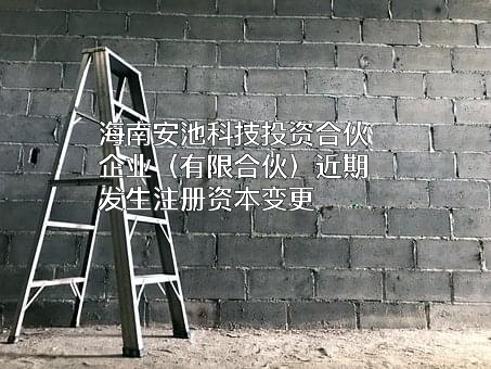 海南安池科技投资合伙企业（有限合伙）