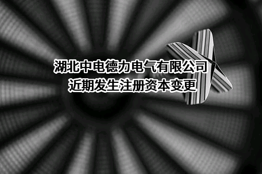 湖北中电德力电气有限公司