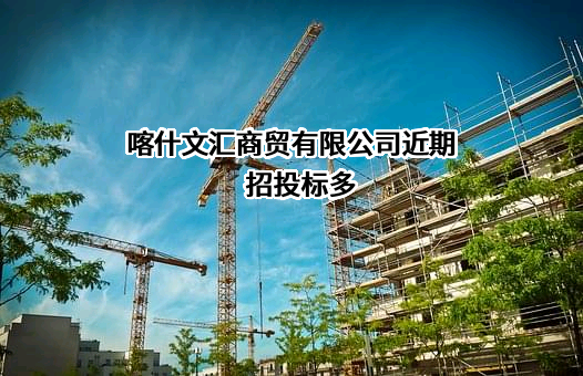 喀什文汇商贸有限公司