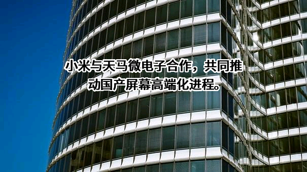 厦门天马微电子有限公司