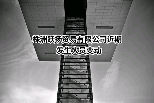 株洲跃扬贸易有限公司