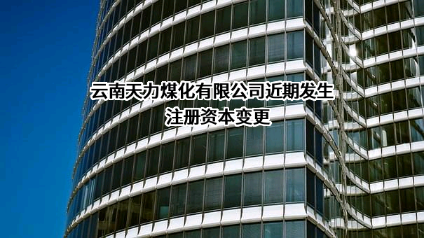 云南天力煤化有限公司
