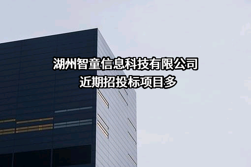 湖州智童信息科技有限公司