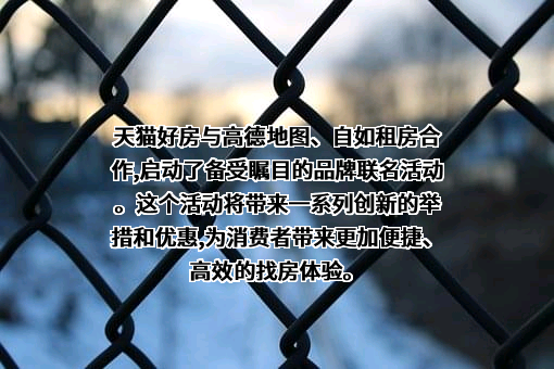 高德软件有限公司