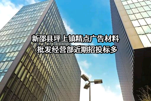 新邵县坪上镇精点广告材料批发经营部