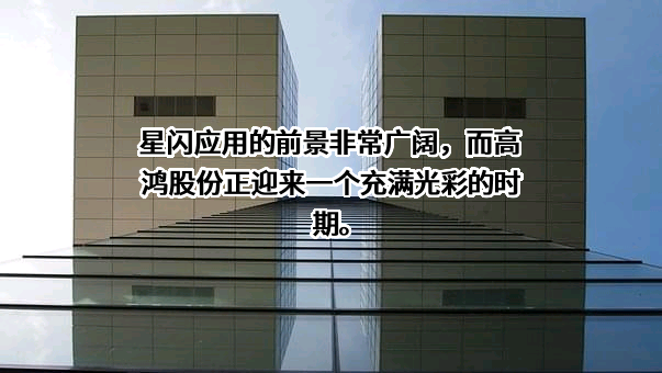 大唐高鸿网络股份有限公司