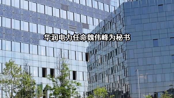 華潤電力控股有限公司
