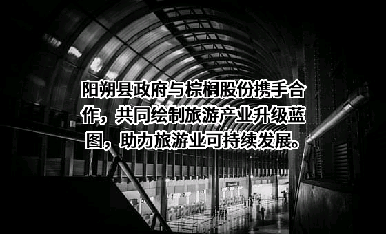 棕榈生态城镇发展股份有限公司