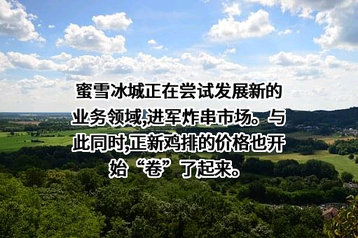 蜜雪冰城股份有限公司