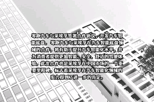 采埃孚（中国）投资有限公司