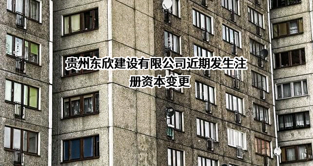 贵州东欣建设有限公司