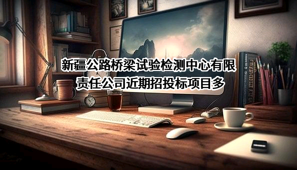 新疆公路桥梁试验检测中心有限责任公司