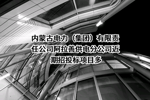 内蒙古电力（集团）有限责任公司阿拉善供电分公司近期招投标项目多