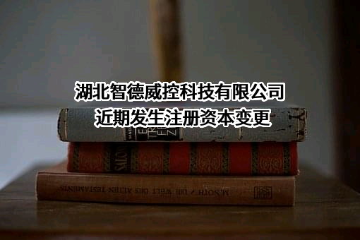 湖北智德威控科技有限公司