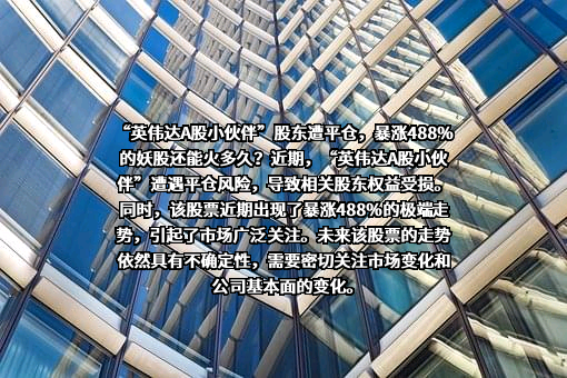 鸿博股份有限公司