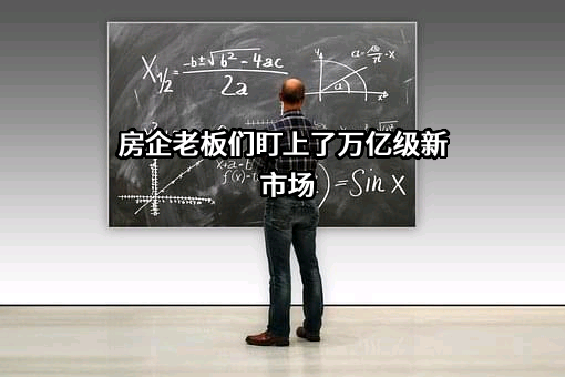 房企老板们盯上了万亿级新市场