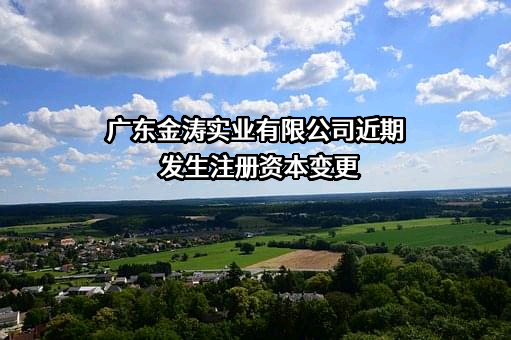 广东金涛实业有限公司