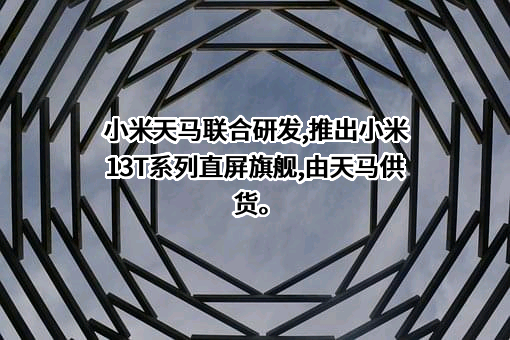 天马微电子股份有限公司