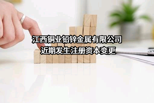 江西铜业铅锌金属有限公司
