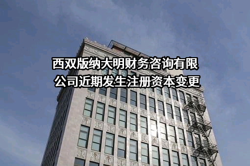西双版纳大明财务咨询有限公司