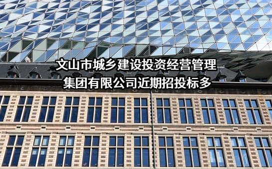 文山市城乡建设投资经营管理集团有限公司