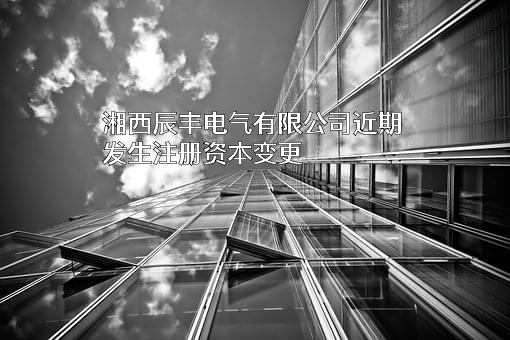 湘西辰丰电气有限公司