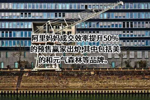 杭州阿里妈妈软件服务有限公司