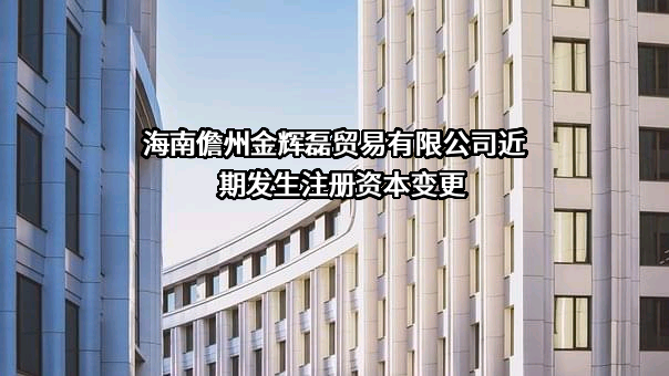 海南儋州金辉磊贸易有限公司