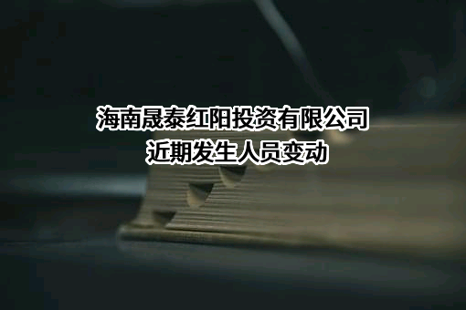 海南晟泰红阳投资有限公司