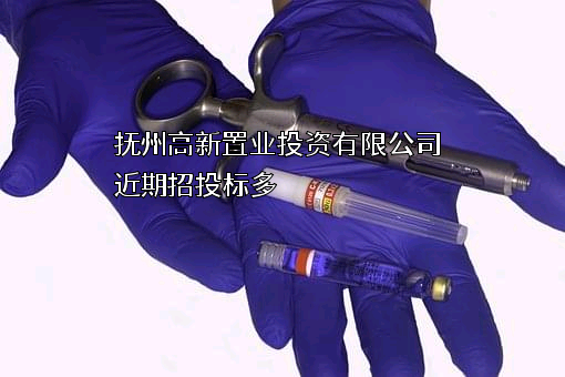 抚州高新置业投资有限公司