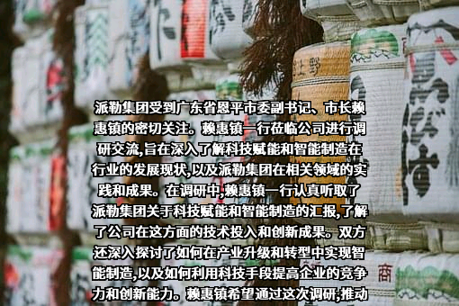 派勒科技集团有限公司