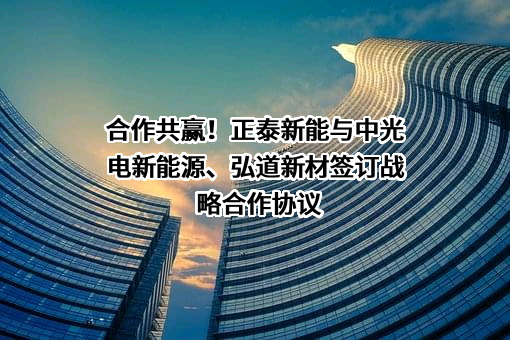宁夏中光电新能源股份有限公司